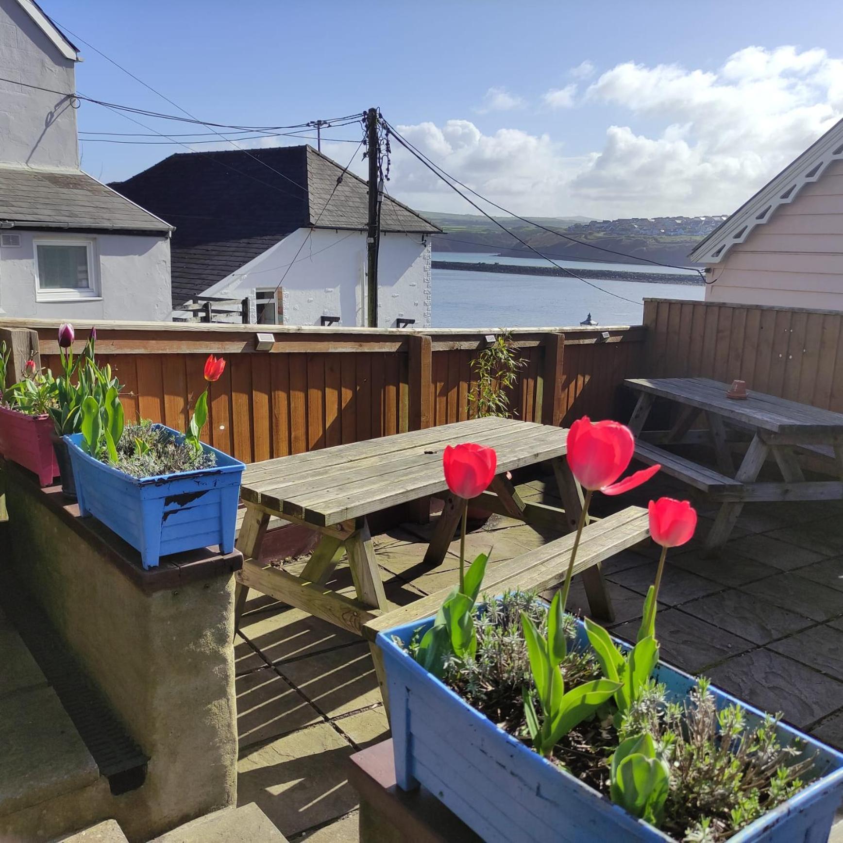 Rose And Crown Hotel & Hope And Anchor Bar Goodwick Экстерьер фото